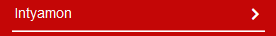 Intyamon