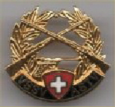 boutonni�re pour v�t�rans